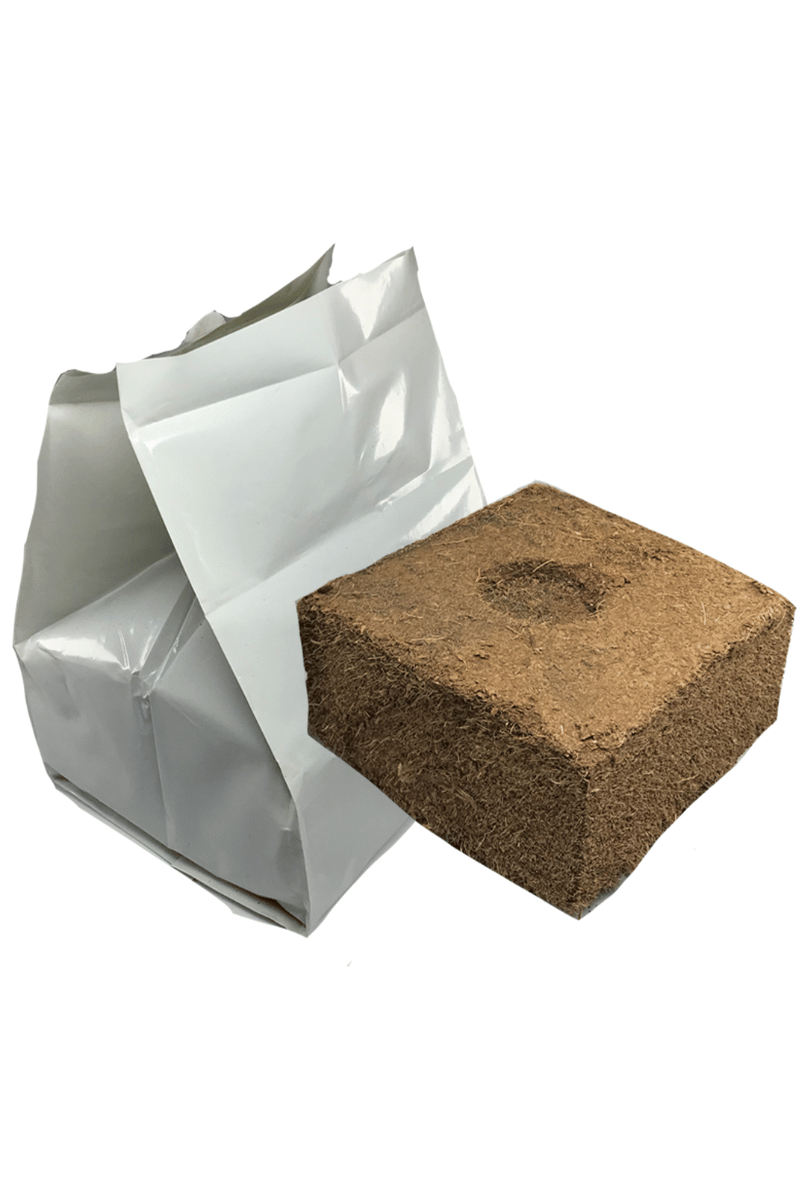 Single Bag