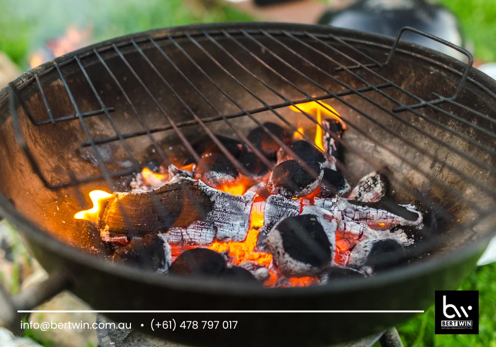 coconut charcoal for BBQ