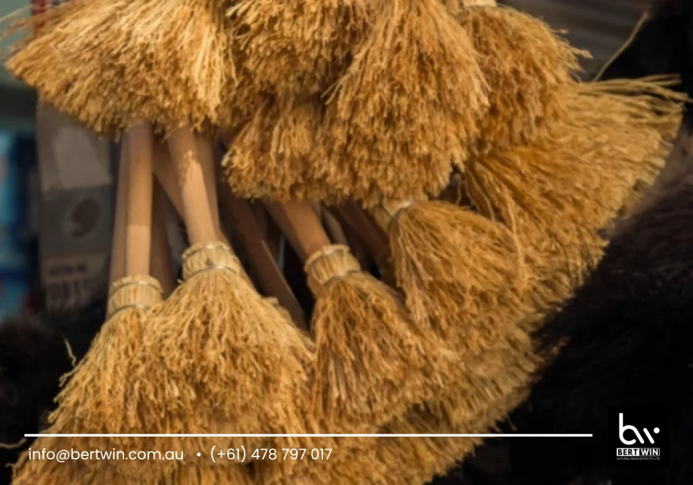 used price coir bristle