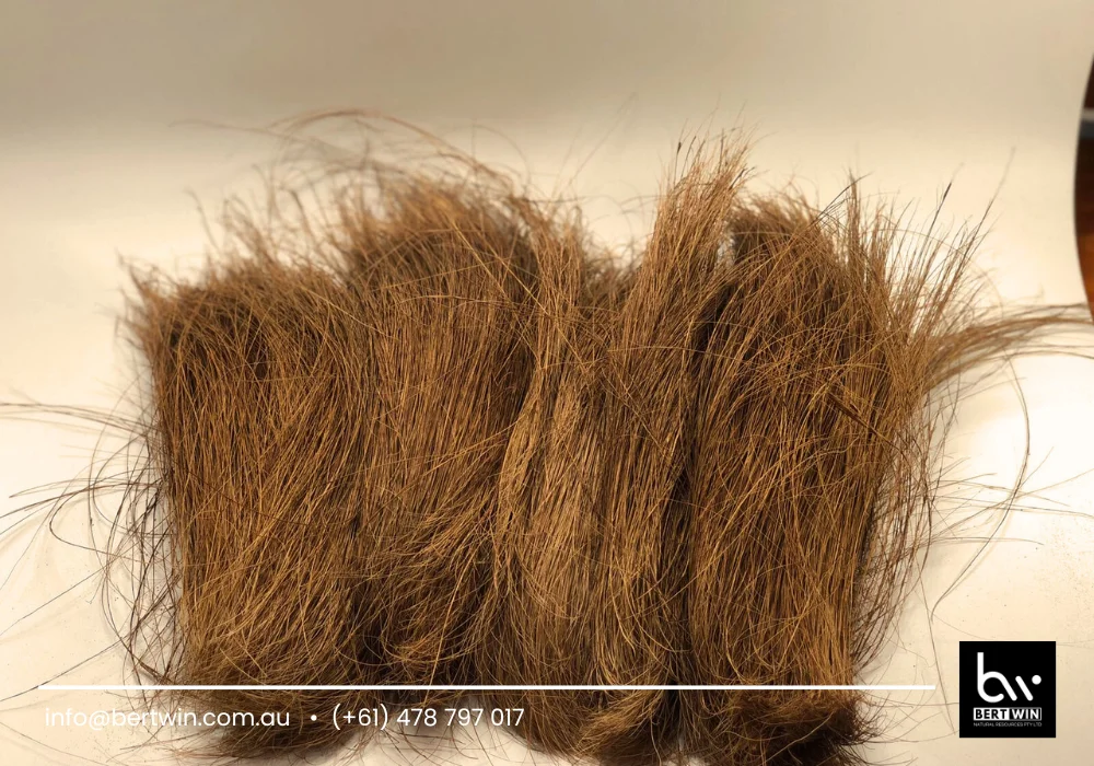 coir fiber applications