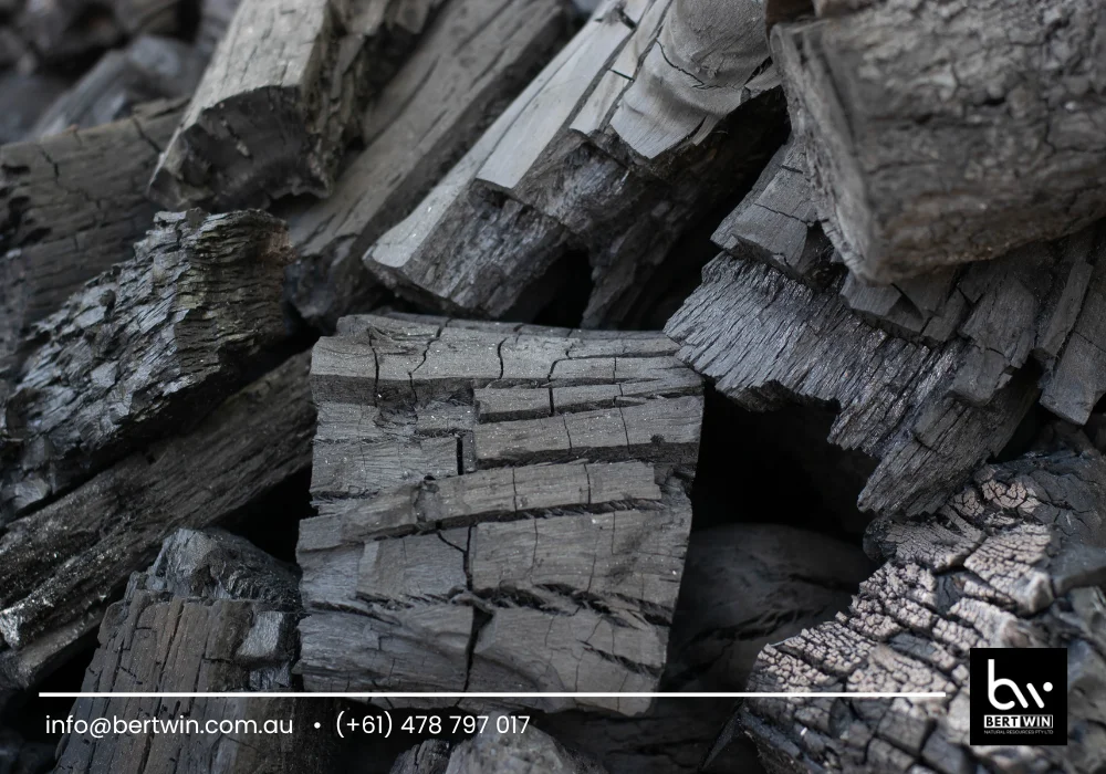 sustainable coconut charcoal