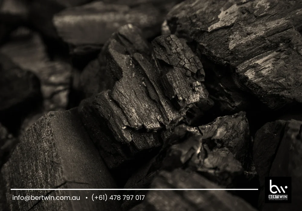 sustainable coconut charcoal