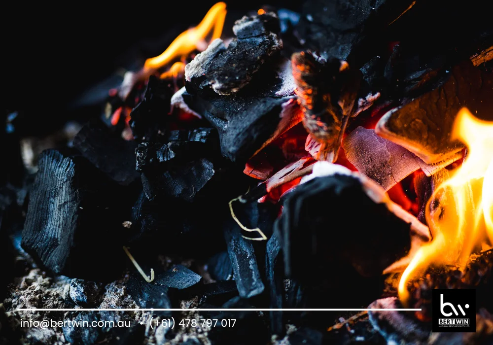 coconut charcoal for BBQ