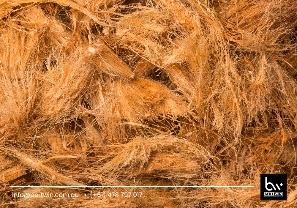 coco peat organic fertilizer