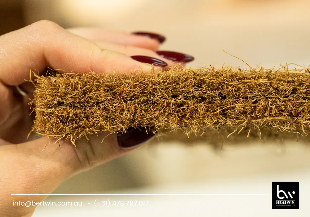 sustainable coir products