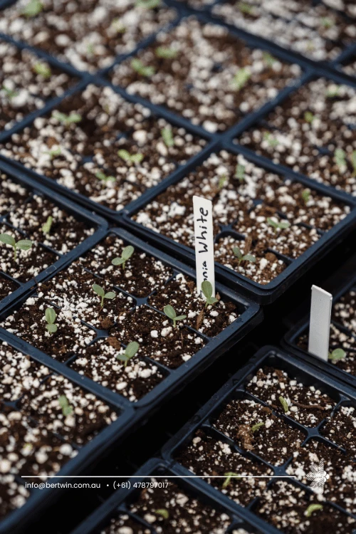 coco coir perlite soil mix