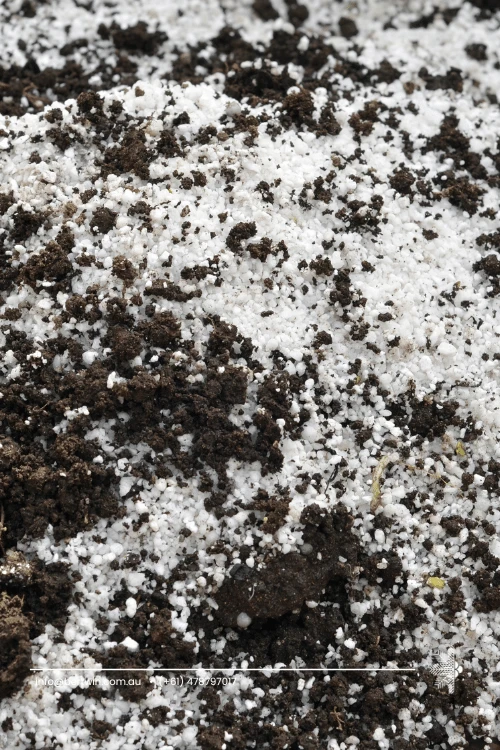 coco perlite mix