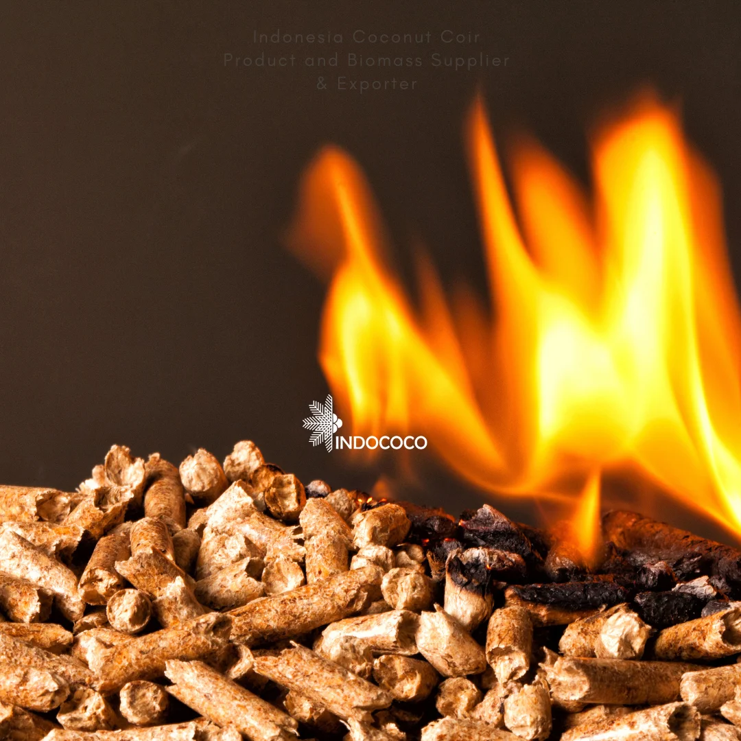biomass fuel