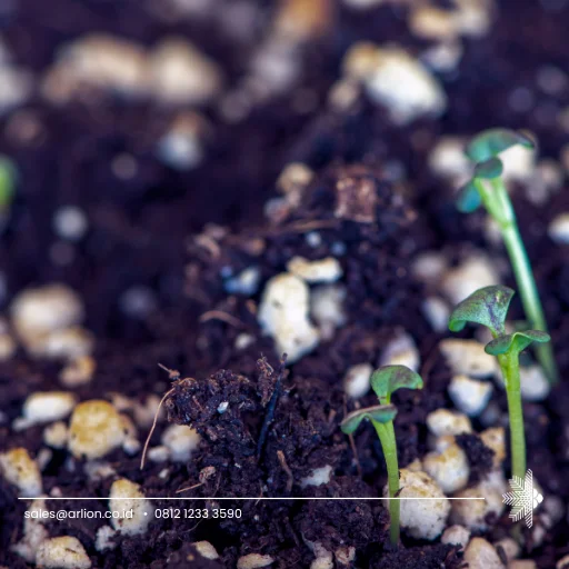 Coco Perlite (5) coco perlite for plants