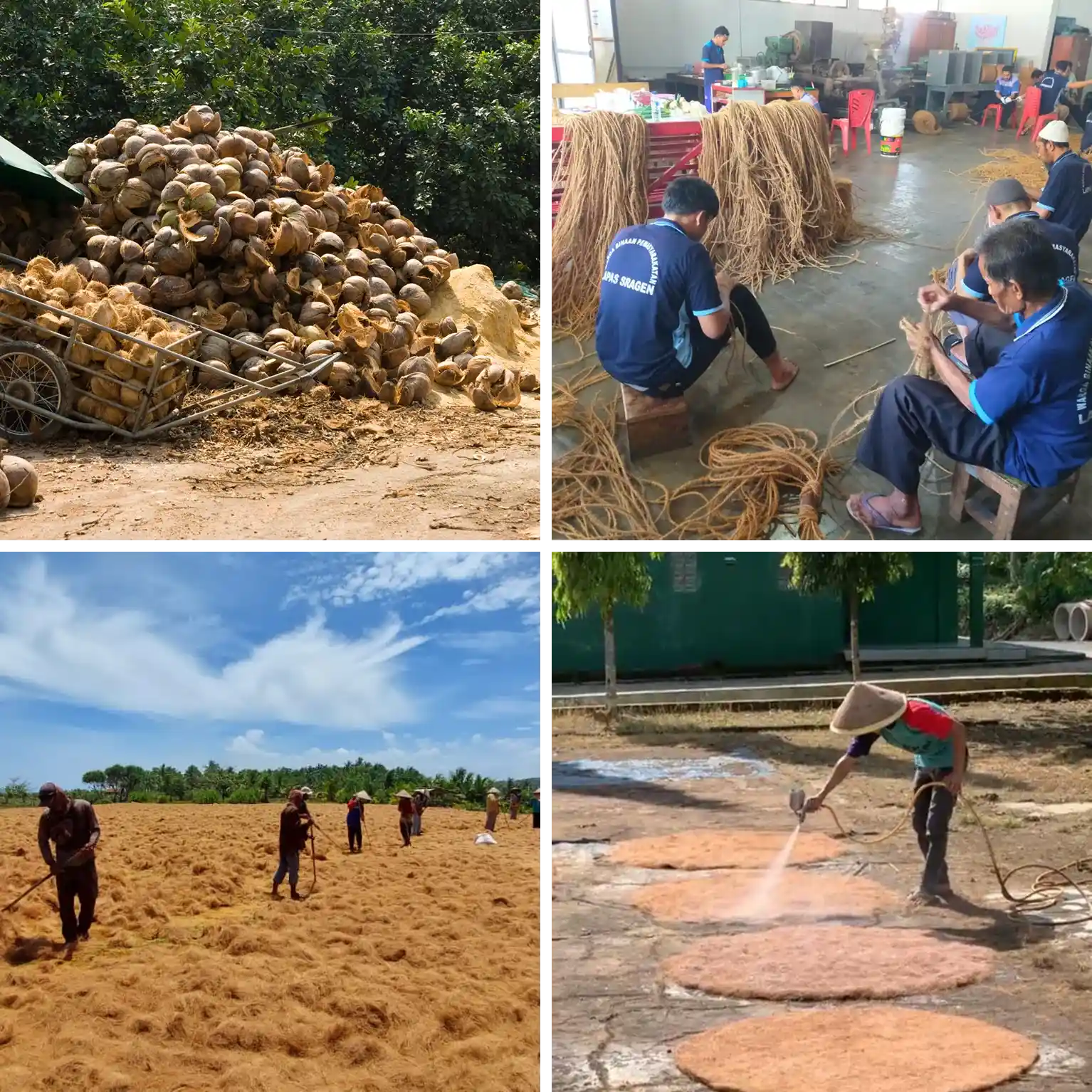 coconut fiber eco earth