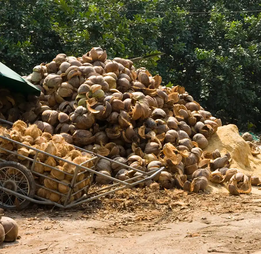 PT Visi Arlion Internasional coconut fiber growing medium