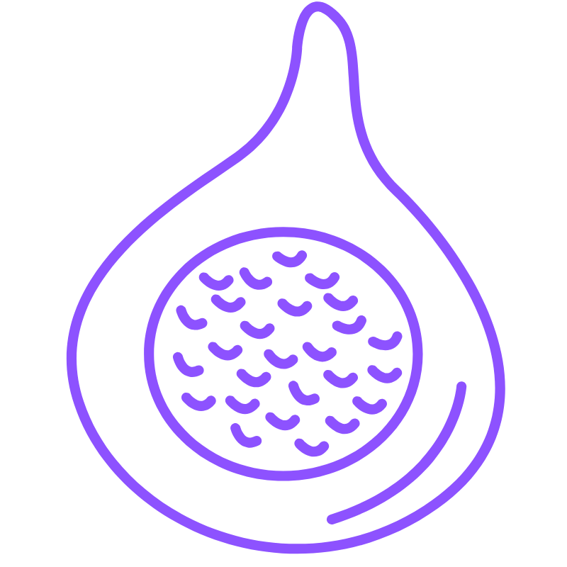 Hydroponic Fig Farming