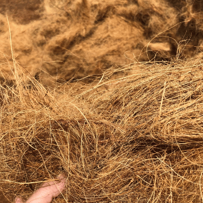 Coir Fiber