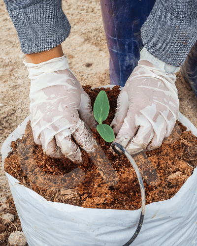 Coir Peat Low EC Australia