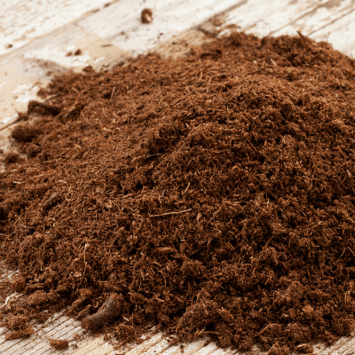 Coco Coir Bricks Bulk