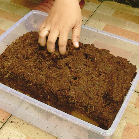 how to use coconut liners for planters