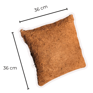 Coir Pillow - Bertwin