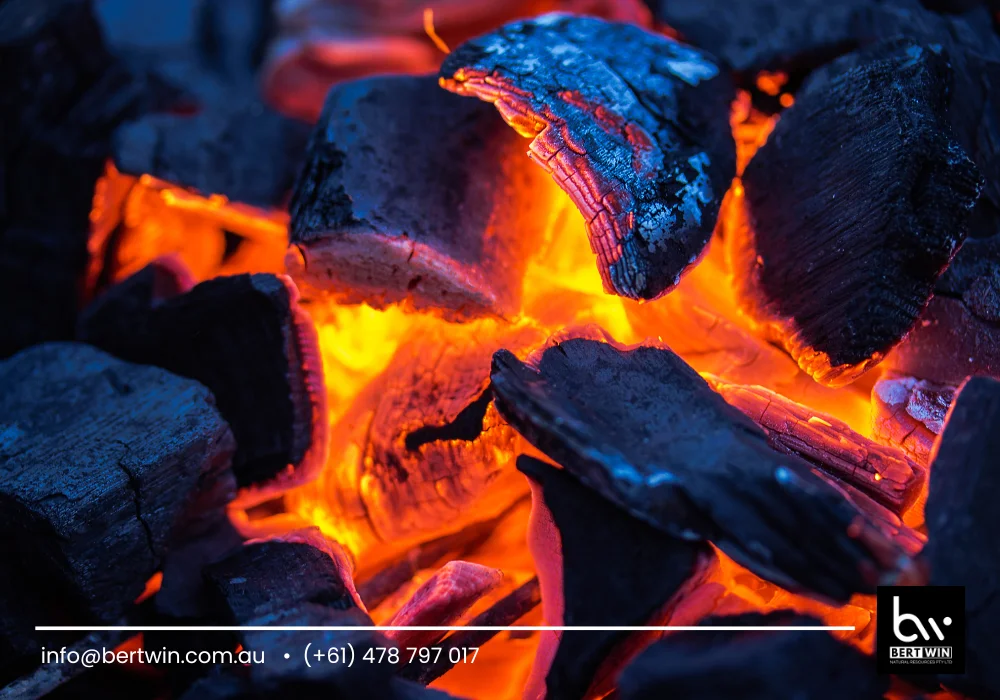coconut charcoal briquettes