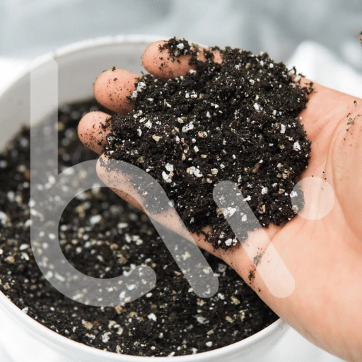 coco peat perlite potting mix