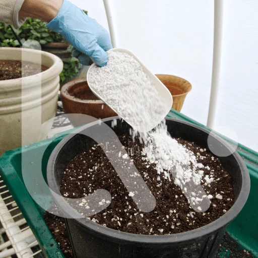 coco perlite mix ratio