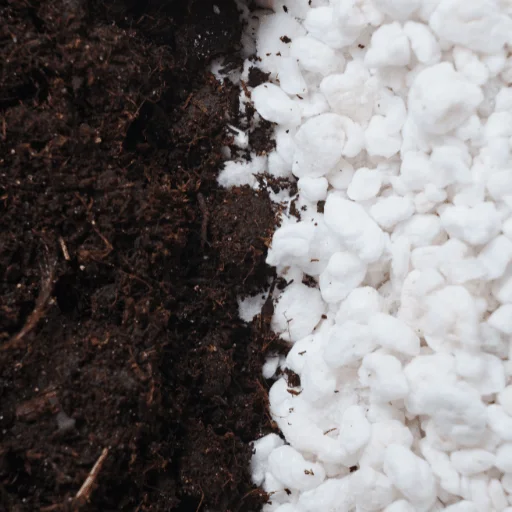 coco perlite