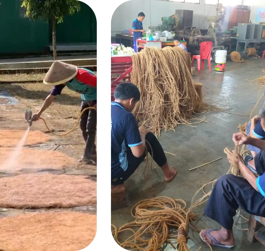 coconut fiber export